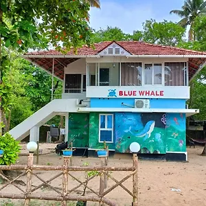 https://marari-blue-whale-beach-house.hotels-alappuzha.com