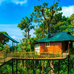 https://kaivalayam-retreat.kerala-hotels.net